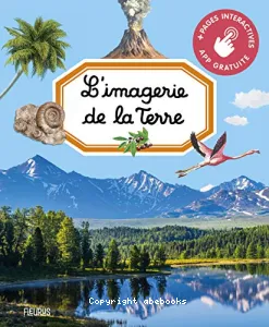 L'imagerie de la Terre